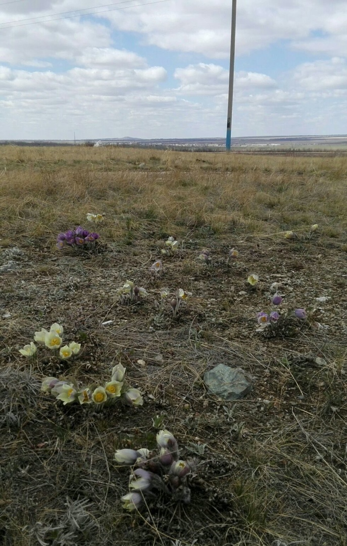 Вера Голубенко | Волгодонск