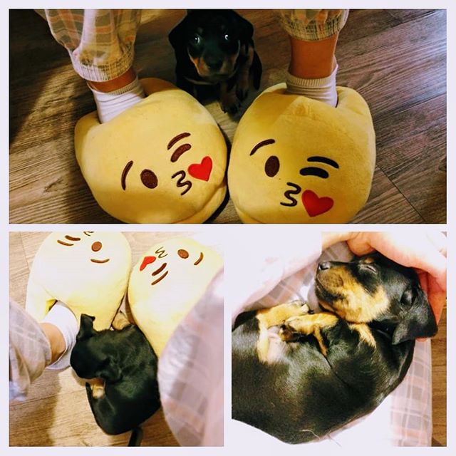 Екатерина Свиридова | Иркутск