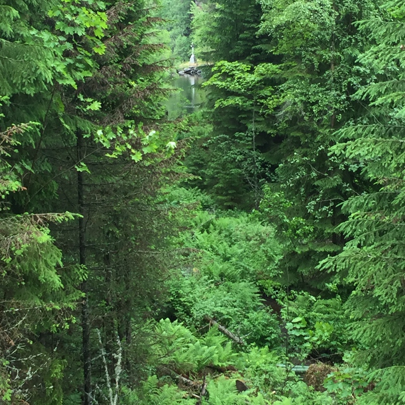 Елена Салтыкова | Слободской