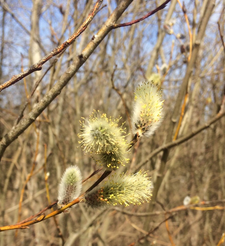Наталия Седова | Санкт-Петербург
