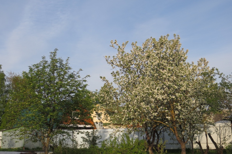 Надежда Бычкова | Северодвинск