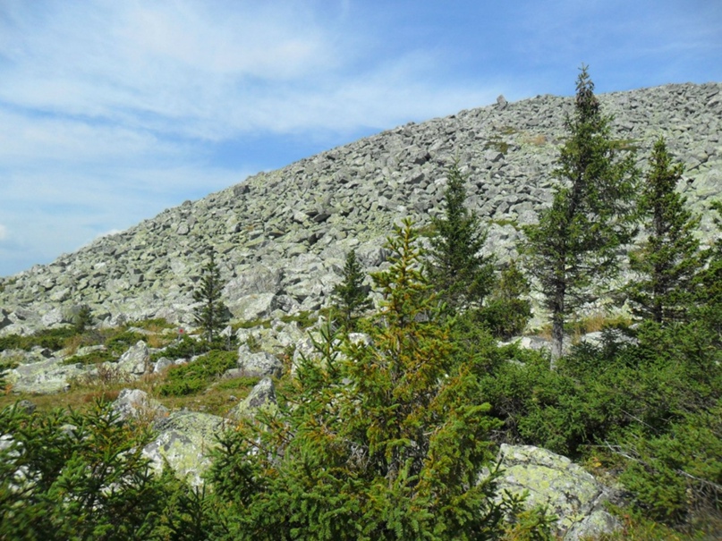 Андрей Самохин | Сатка
