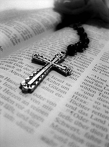 Павел Белов | Новоград-Волынский