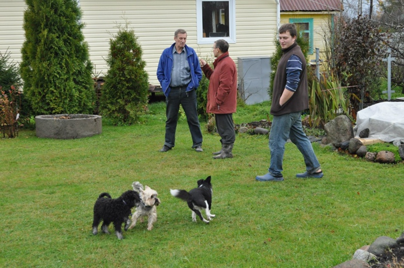 Наталия Степанова (Разорвина) | Санкт-Петербург