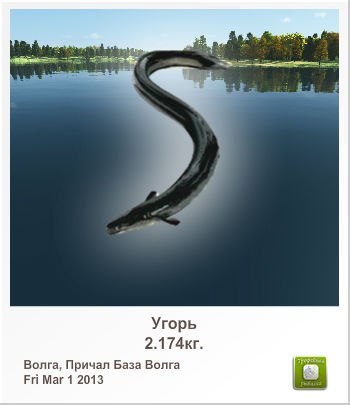 Артем Кирилюк | Сочи