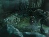 Андрей Погодин PGD | Санкт-Петербург
