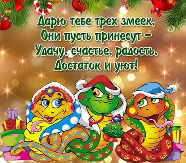 Светлана Дрокина | Гвардейск