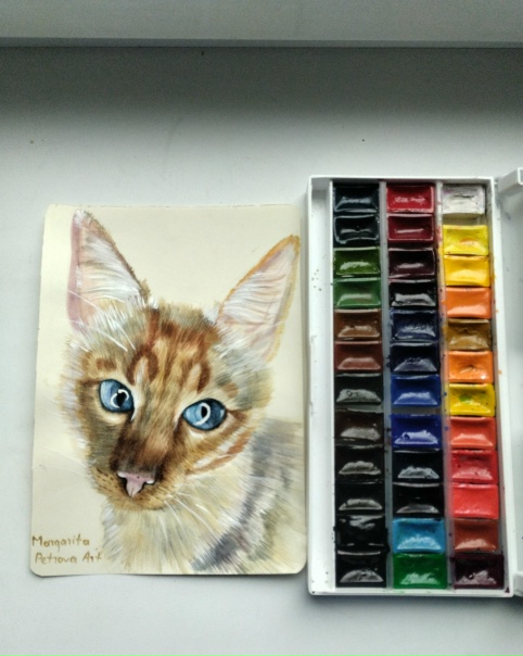 Портрет котика по имени Тимка🤍🤎