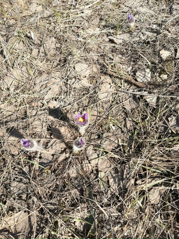 Наталия Захарова | Вад