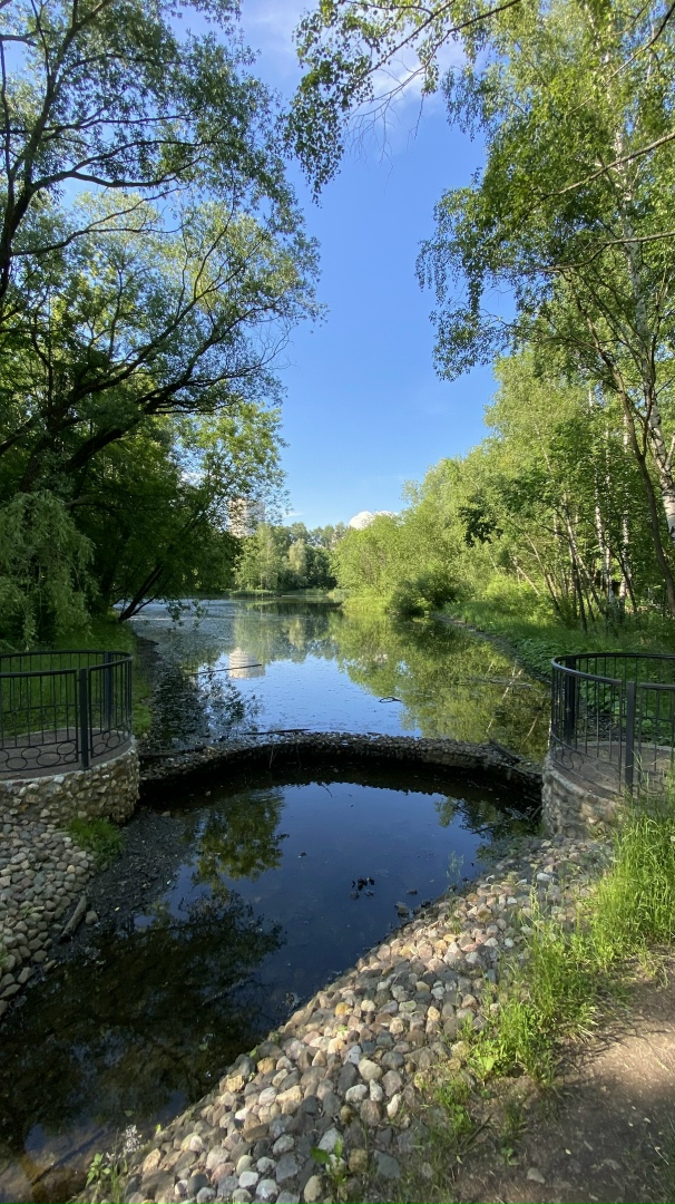 Галина Афонина | Рязань