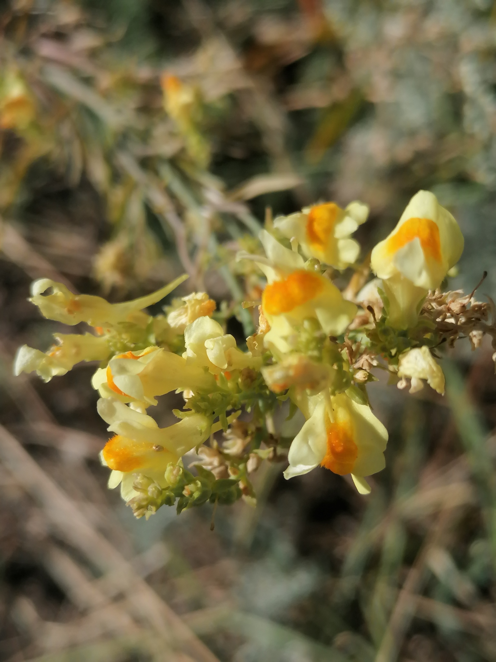 nD-AdICBG_Y.jpg?size=1620x2160&quality=96&proxy=1&sign=f52a2460f343811e50f8698898b9c9c8