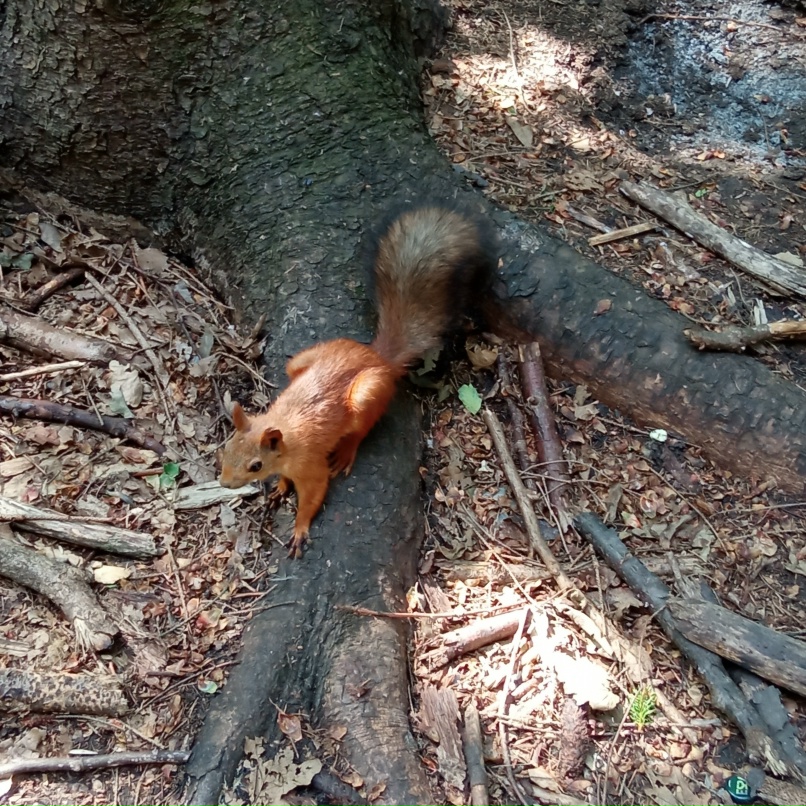 Оля Губанова | Липецк