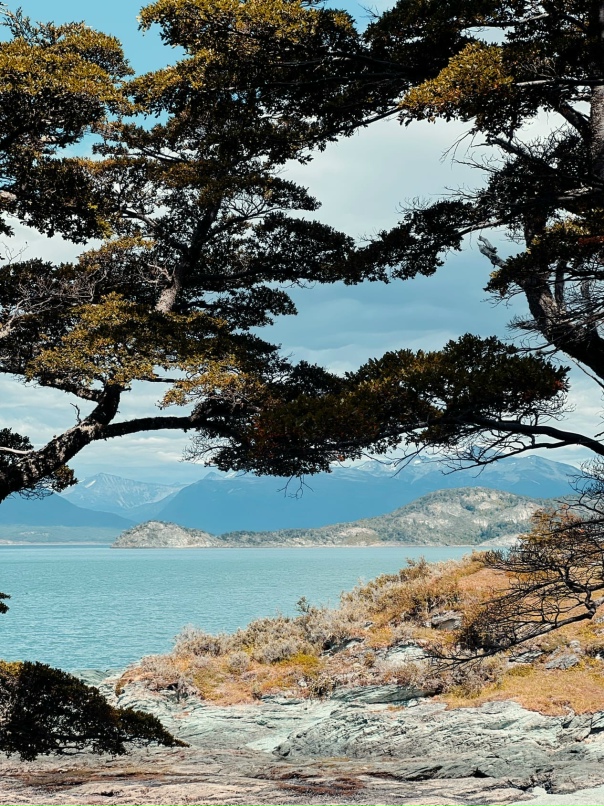 Алёна Санжарова | Сочи