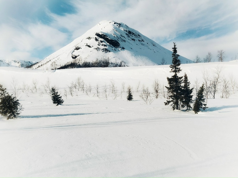 Ольга Широкова |