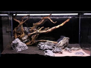 Aquascape ADA 90p - JBL ProScape -Rocky shore  Step by Step - Nature Aquarium