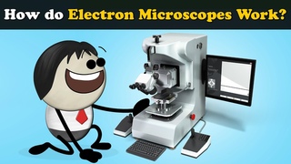 How do Electron Microscopes (Scanning) Work + more videos | #aumsum #kids #science #education