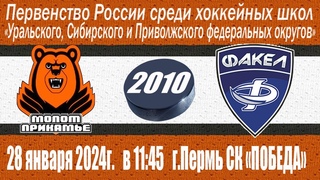 2010 г.р. Молот- Факел