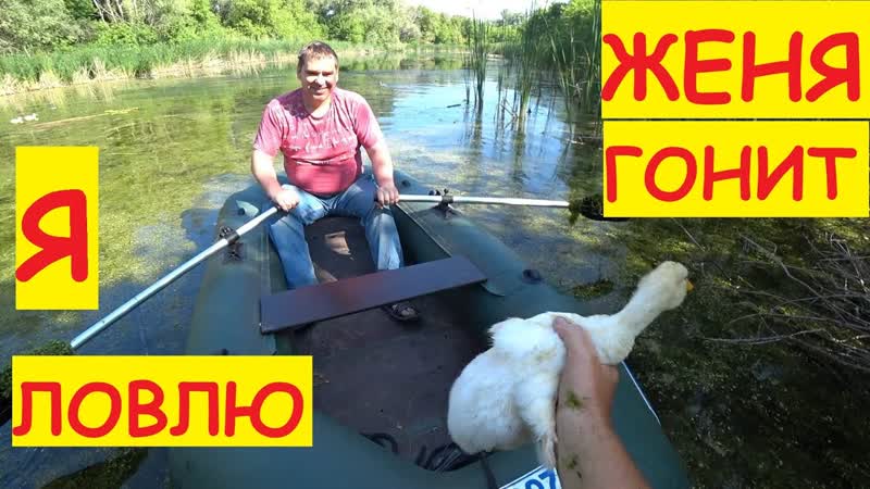 ВДВОЁМ ВЕСЕЛЕЕ Переловили уток, Женя приехал на