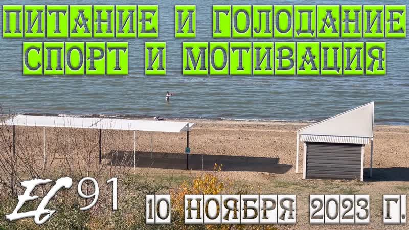 Еи ск 10 ноября 2023 г. Спорт, питание и мотивация. Диеты и их