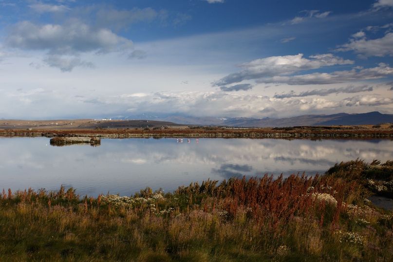 Ирина Максимова | Melbourne
