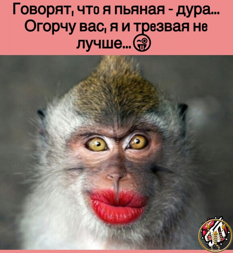 Шимпанзе с надутыми губами