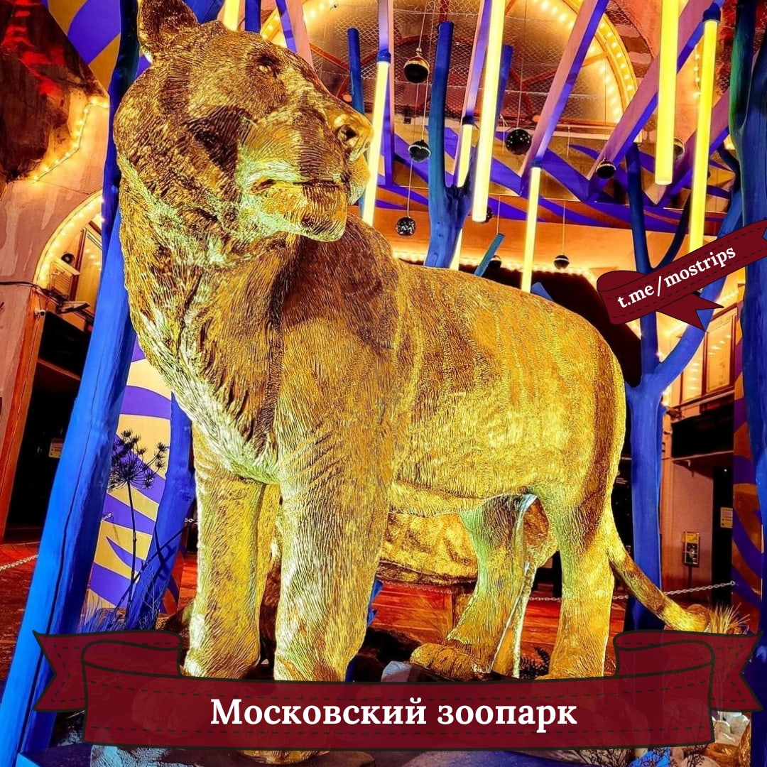 москва новогодняя 2022 самые красивые