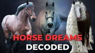 Unveiling the Mystery: Dream Meanings of Horses