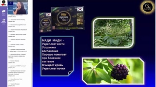 Nayuta ПРОДУКТ ДЛЯ СУСТАВОВ