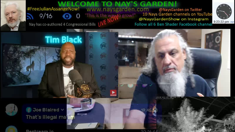 Watch Tim Black and Smoke with