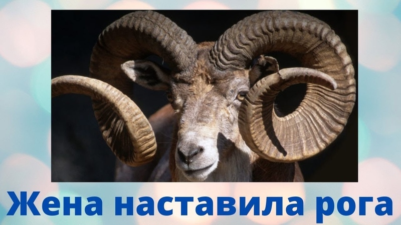 Сдавать ли сестру ее