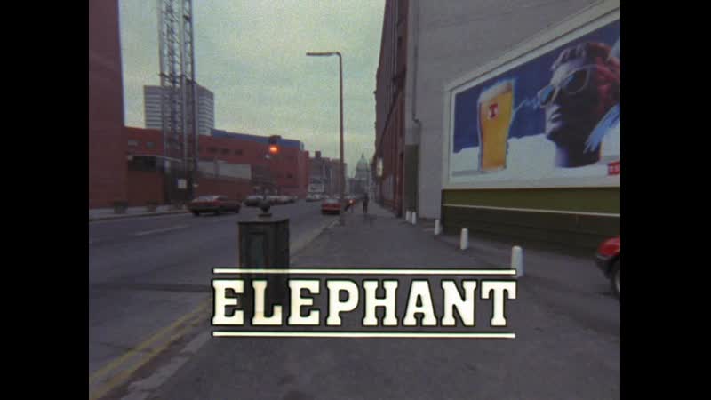 Elephant. Alan