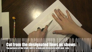 How to make Shide!