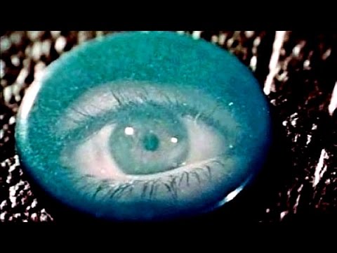 Morphine Top Floor, Bottom Buzzer (music